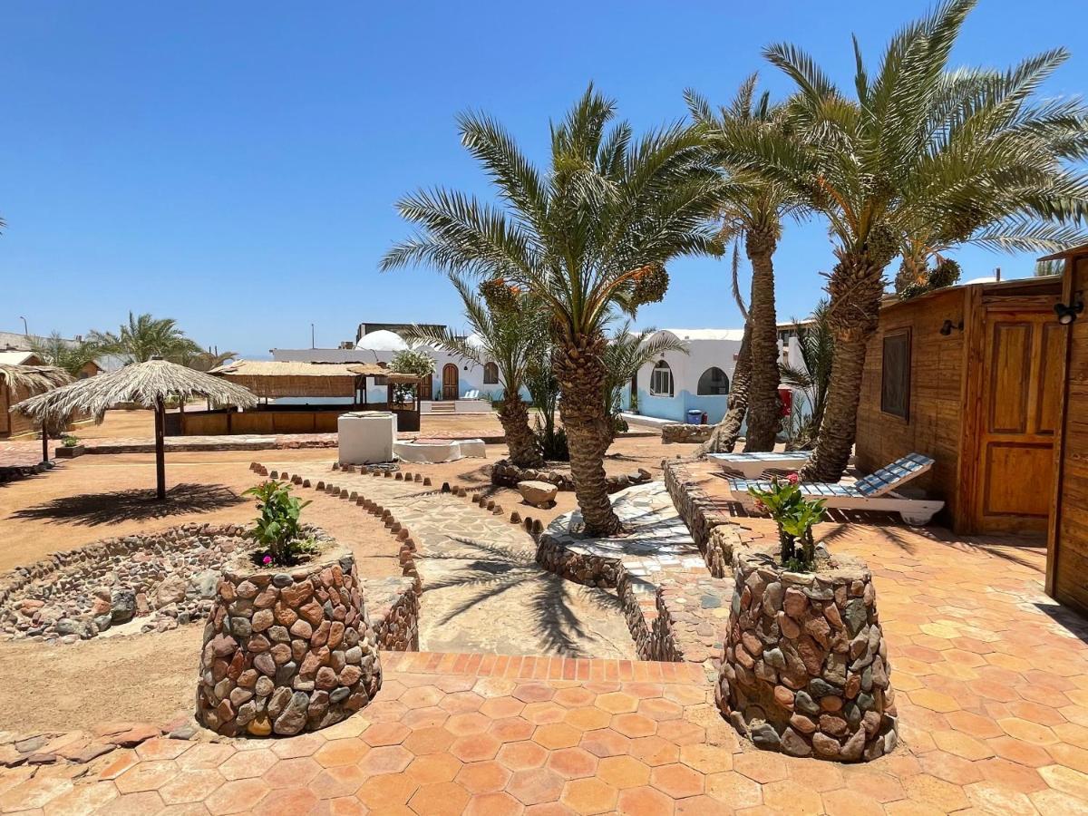 Dolphin Camp Hotel Dahab Exterior photo