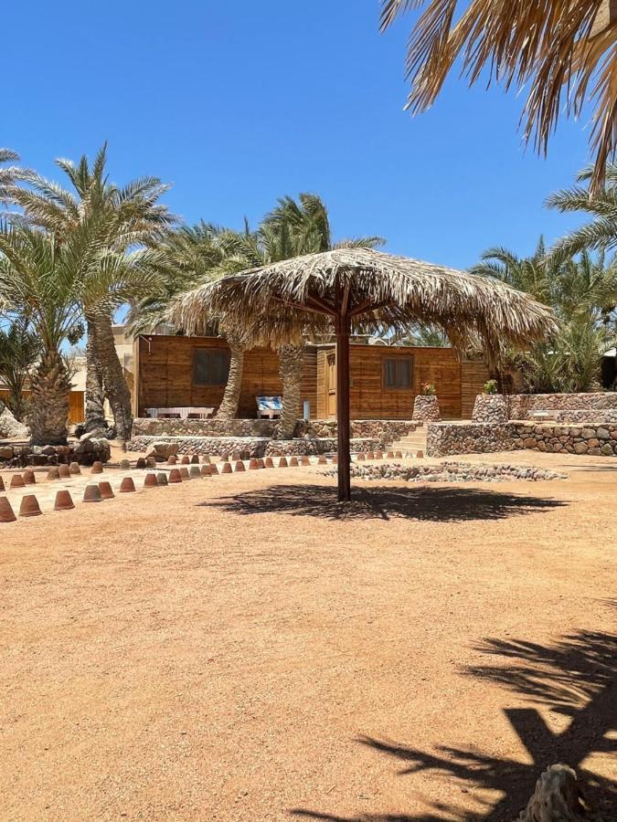 Dolphin Camp Hotel Dahab Exterior photo