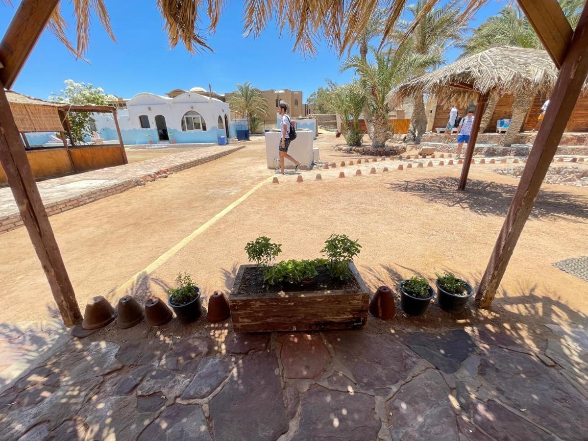 Dolphin Camp Hotel Dahab Exterior photo