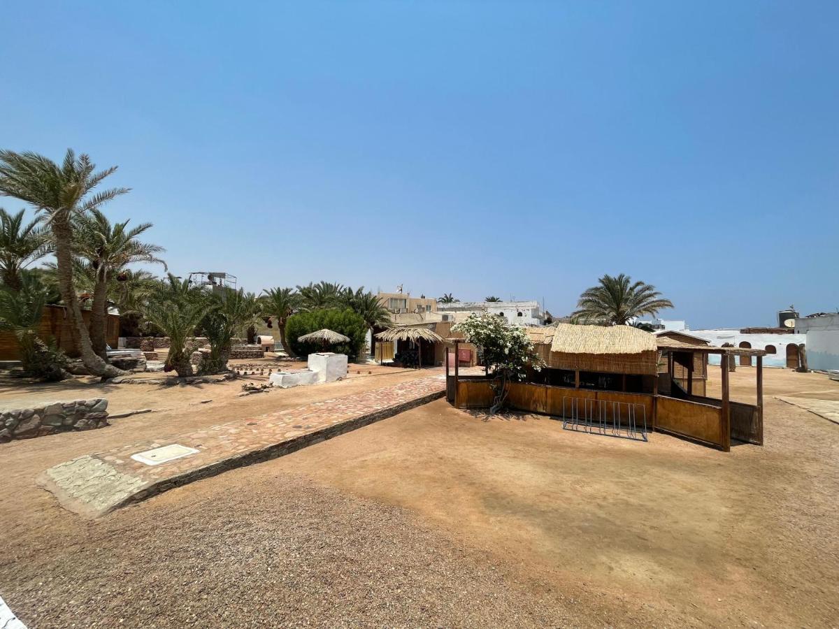 Dolphin Camp Hotel Dahab Exterior photo